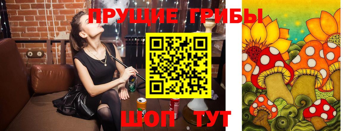 Тулун  Псилоцибиновые грибы Magic Shrooms  Псилоцибиновые грибы мухоморы  Вход с VPN 