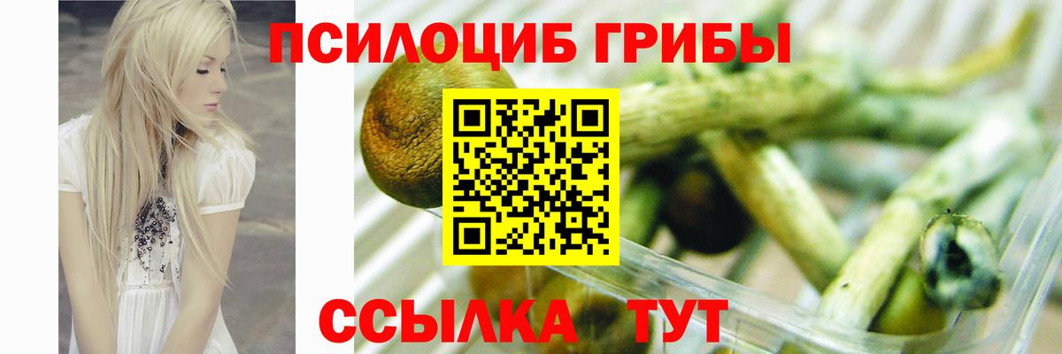 Галлюциногенные грибы мухоморы Тулун